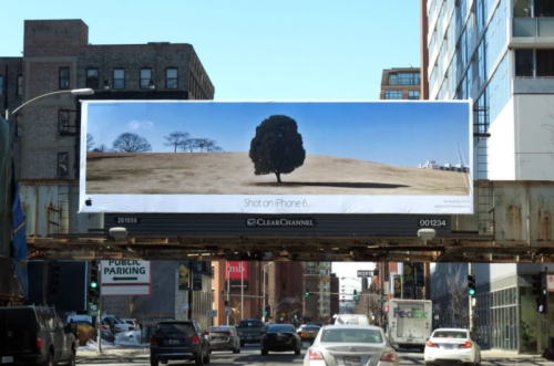 User Generated Content from Apple- Tree on a billboard. 