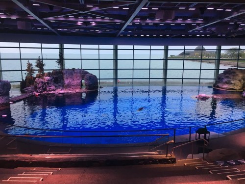 Shedd Aquarium