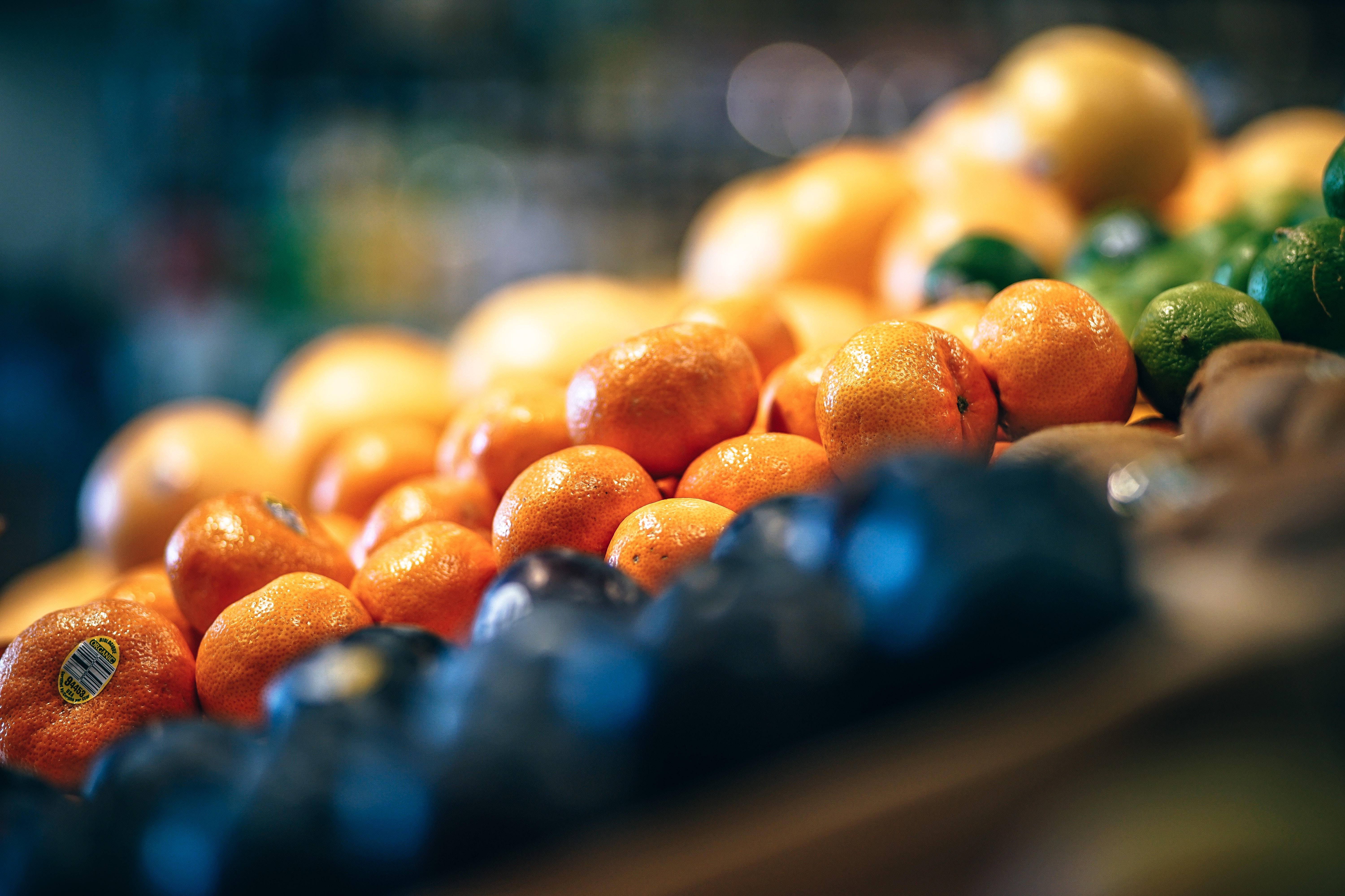 citrus-fruit-grocery featured image