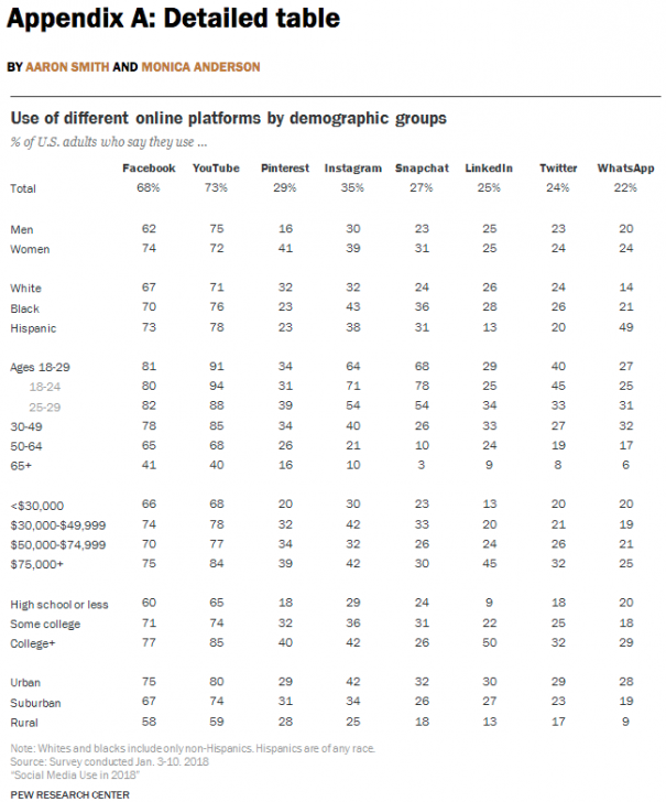 pew research on instagram demographics