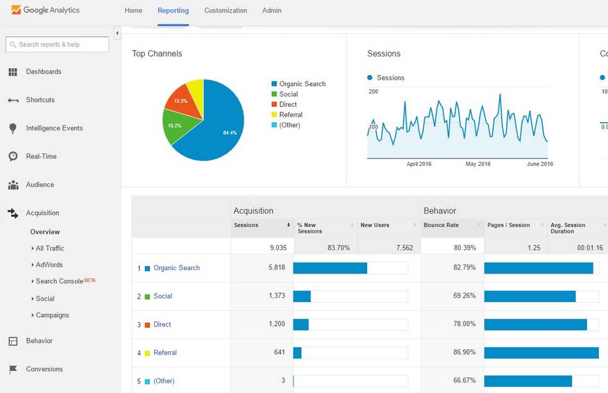 Google Analytics Acquisition Overview Example