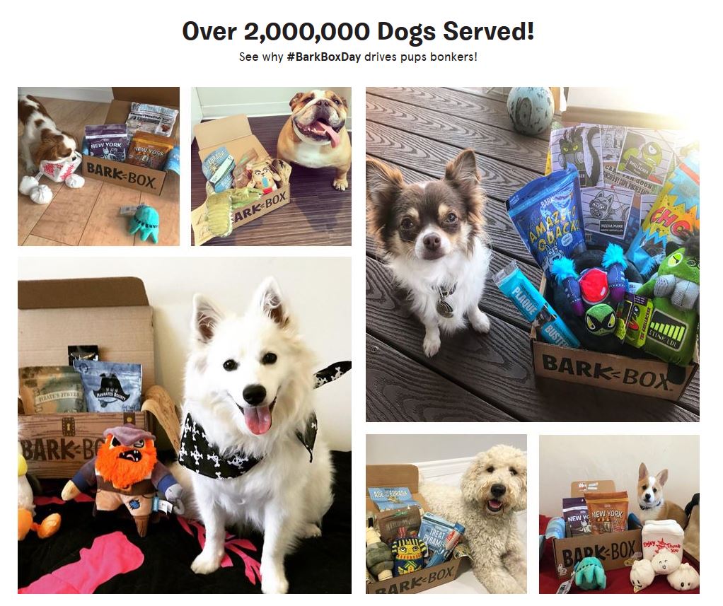 barkbox user-generated content example