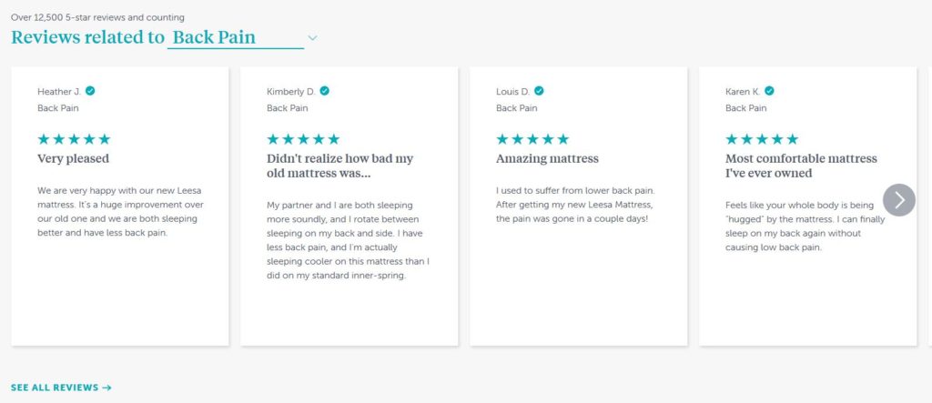 leesa reviews by type