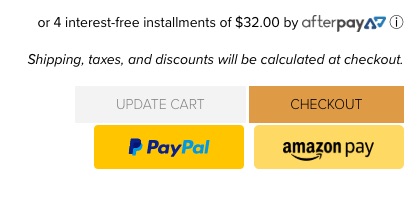 Various Payment Methods in shopping cart example