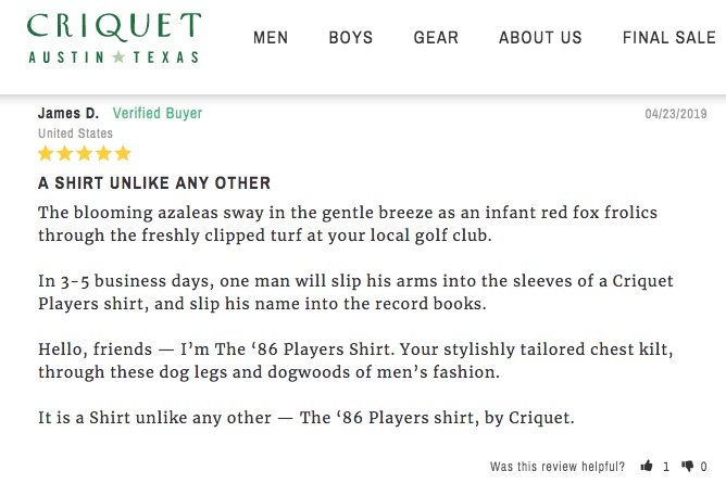 criquet online review example