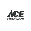 logo_ace.png
